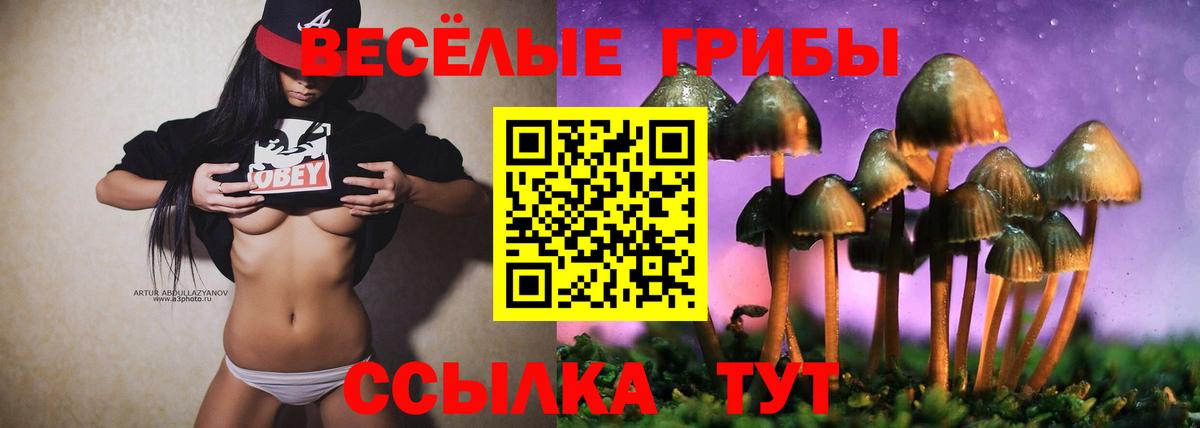 Псилоцибиновые грибы Psilocybine cubensis  Вход с VPN  Норильск 